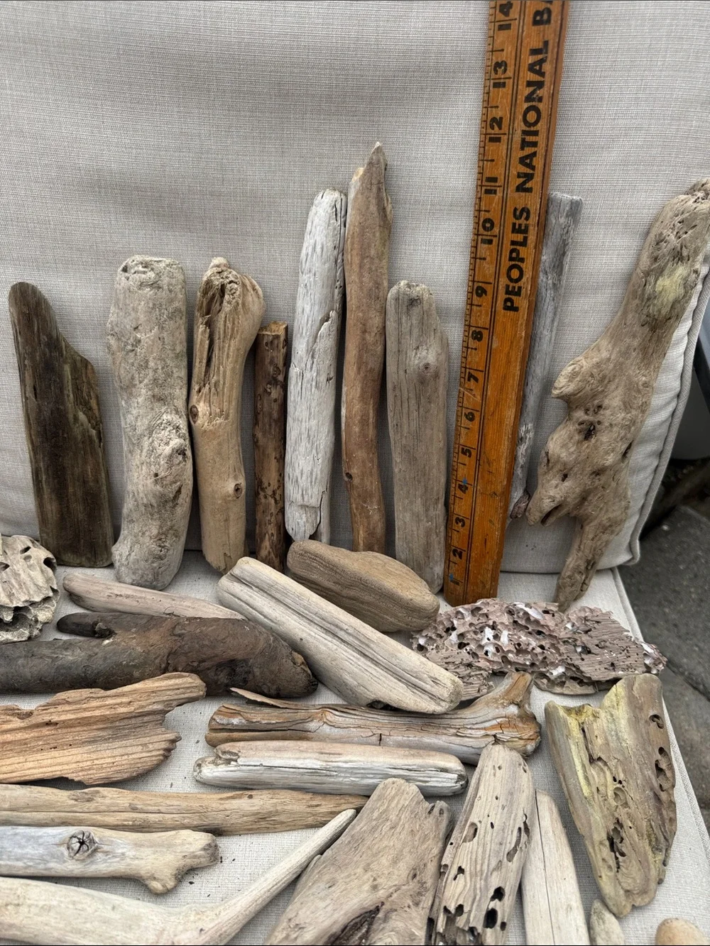 35 pcs (5lbs shipped) Natural Driftwood Pieces for decor, arts, crafts, projects